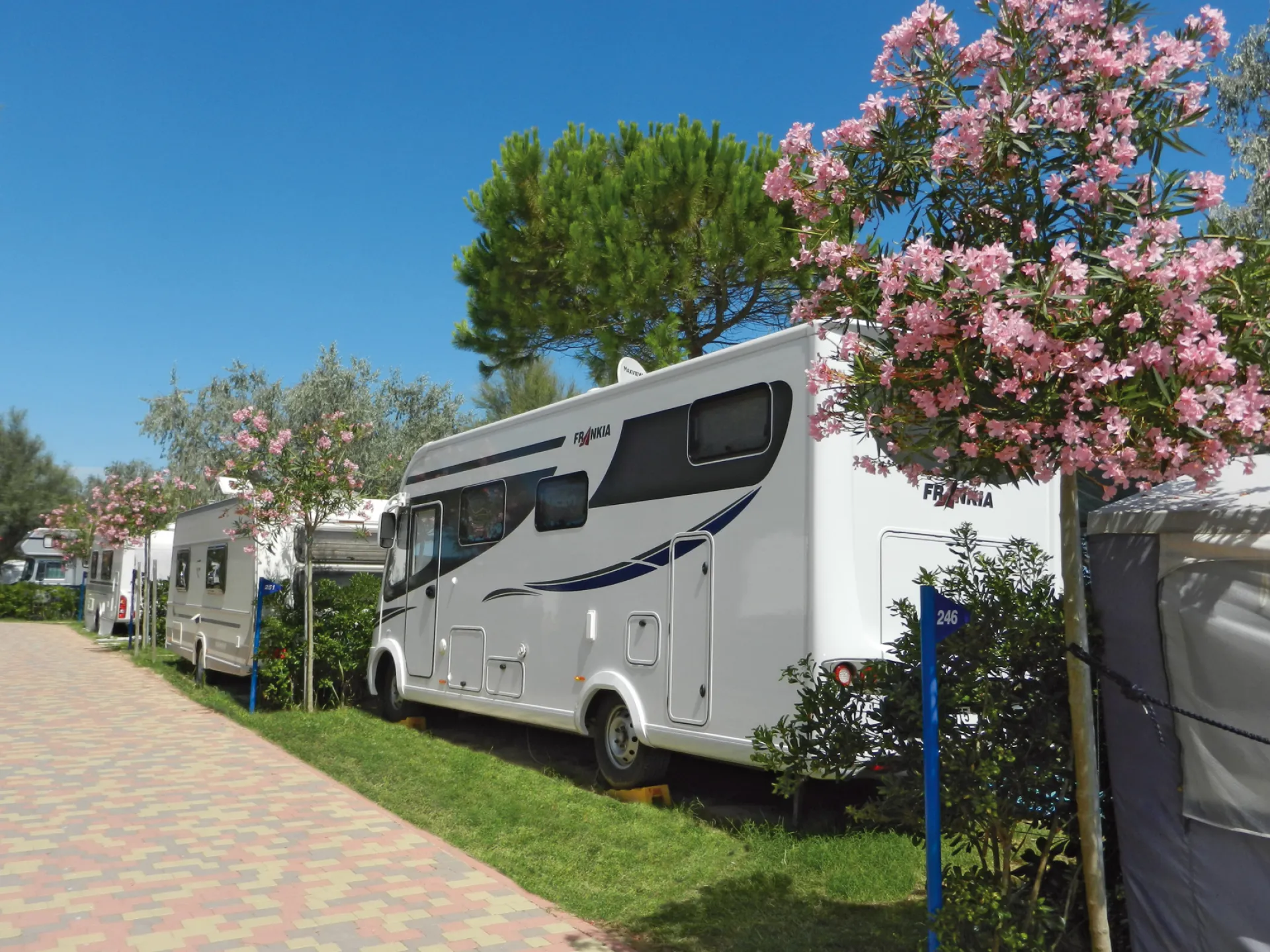 Campeggio 4 stelle Lignano - Camping Village Pino Mare